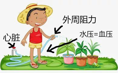 讲的好，记得牢！这可能是我见过最高效的“药理学”学习法啦！