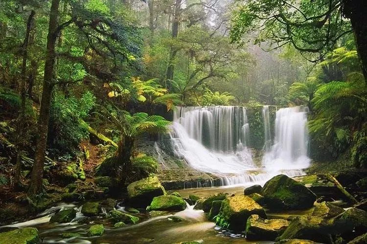 唯品会的发展潜力,唯品会的商业模式平台定位