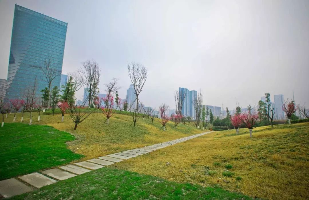 国庆大假成都周边哪里玩一天,成都绿道步行攻略都在这