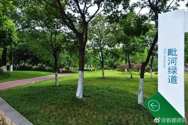 天府绿道跑步5小时,到天府绿道走一走