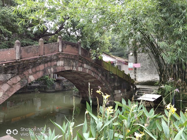 顺德逢简水乡出名小店,顺德逢简水乡属于哪个镇