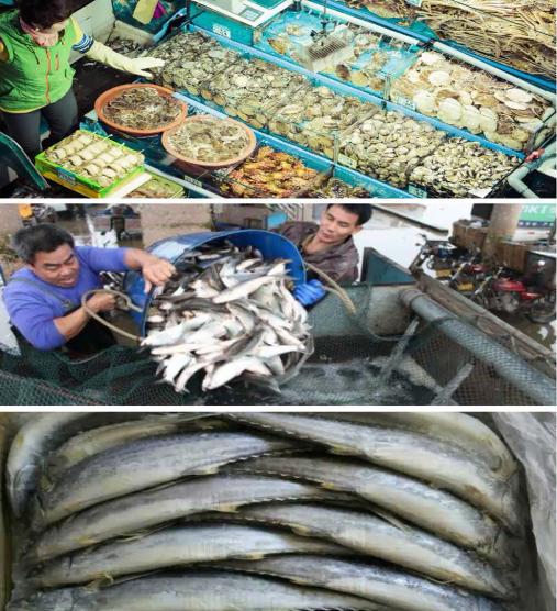 长春各个行业批发市场,长春水果蔬菜批发市场价格便宜的