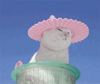 抗衰的误解有多深,抗衰的坑有多深