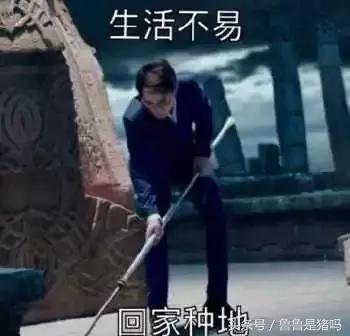 自从迷上*戏调**某宝客服后，我不会说话的毛病就被治好了