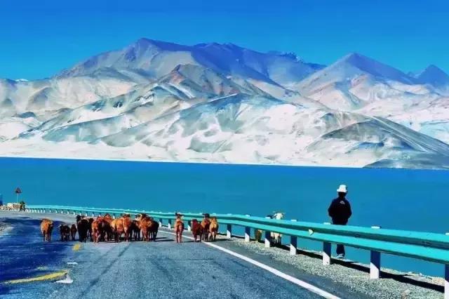 媲美川藏线的独库公路,能媲美独库公路的另一条小众公路