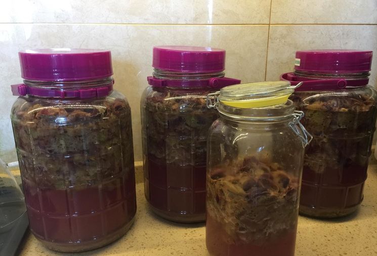 自酿葡萄酒的详细制作方法,葡萄酒正确做法自酿全过程