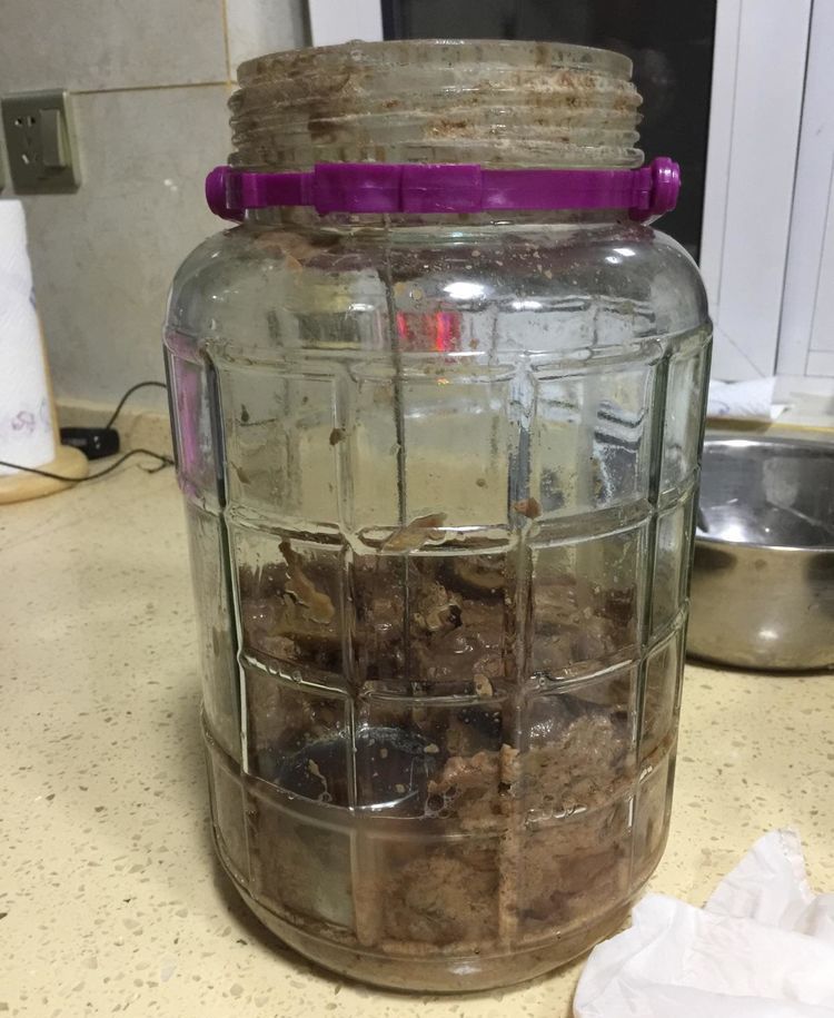 自酿葡萄酒怎么判断葡萄酒坏掉了,葡萄酒怎么酿家庭版