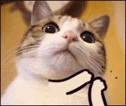 你说的很对”除了Youreright，宝宝们还知道哪些？