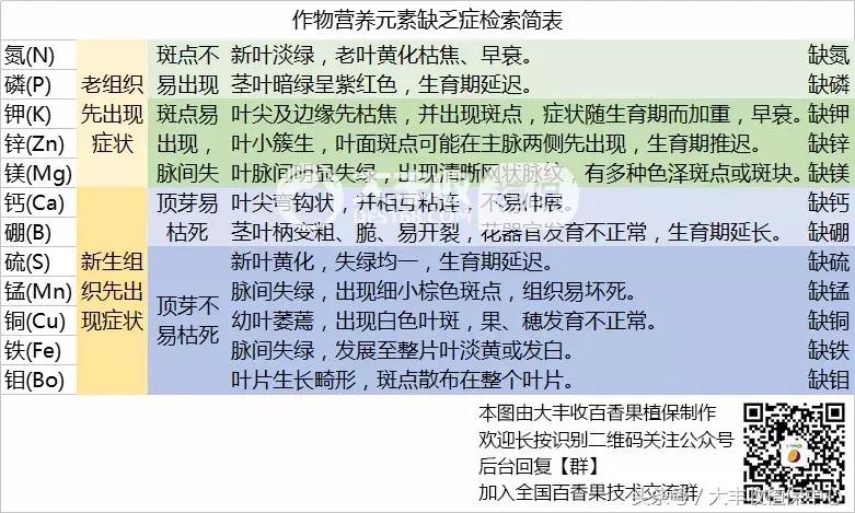 百香果硬硬的是没熟吗,百香果软绵绵的是怎么回事