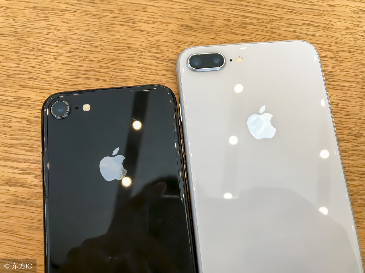 涨知识深度分析,涨知识盘点