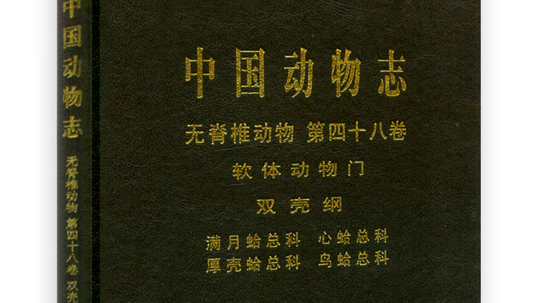 海边贝类种类,各种贝类的名称