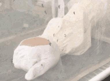 六神，你辜负了十万宝妈对你的信任！