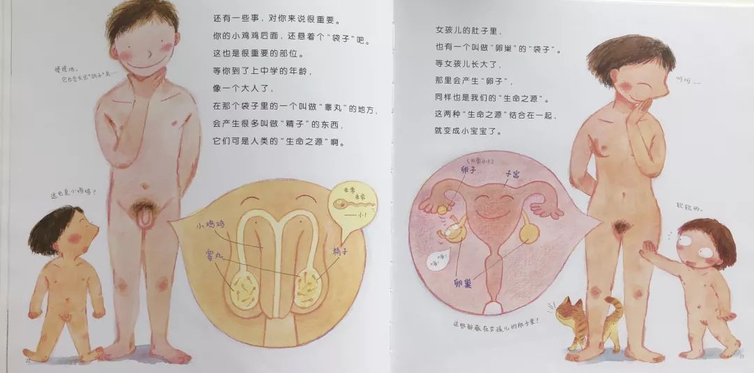 0-6岁爆款书单,分龄性教育书单推荐