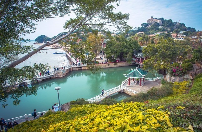 鼓浪屿游玩全攻略，以后别再说去鼓浪屿不知道怎么玩（建议收藏）