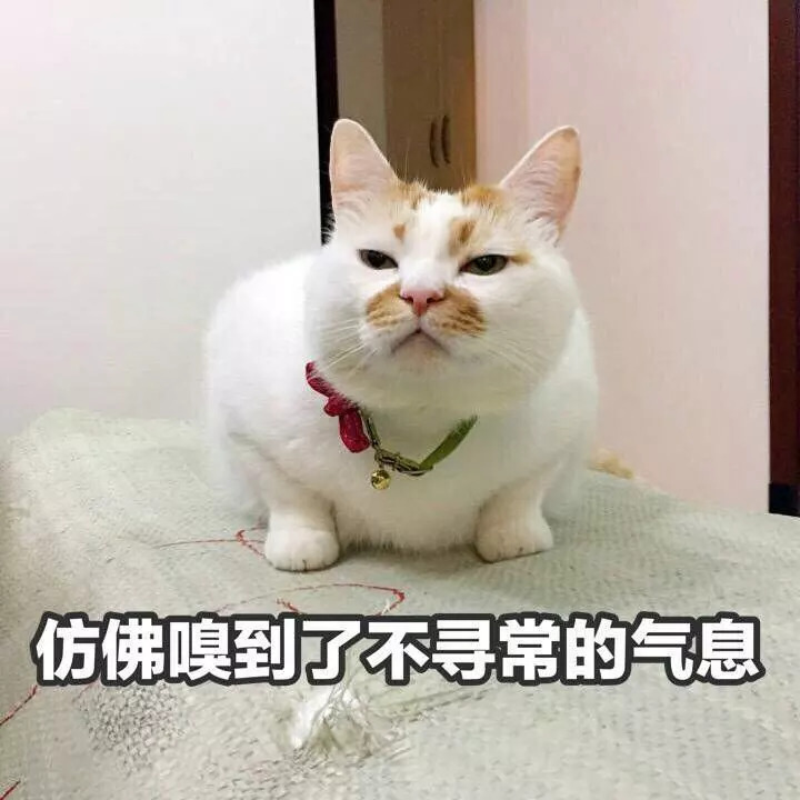 清华附中四大分校,清华附中各分校对比