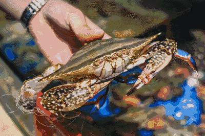 长春吃海鲜的地方排行榜,长春24小时自助吃海鲜的好地方