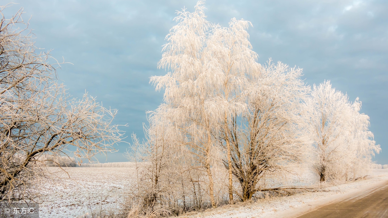 天净沙春夏秋冬四首图,天净沙经典10首