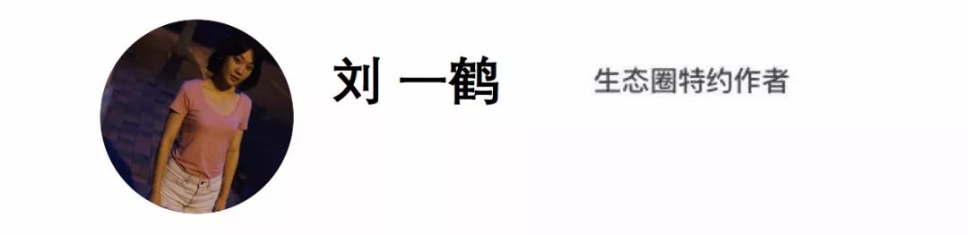 甲子园的感人故事,感动的甲子园真实故事