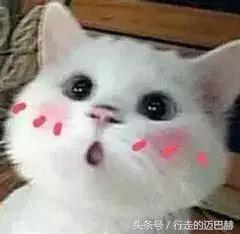 我用的这5支口红，伴娘一问，让我成了整个婚礼的焦点