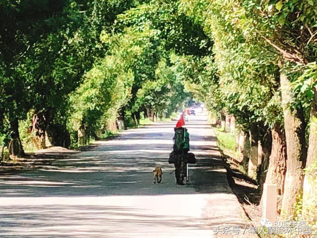 摩旅日记：第18、19天体验彝族村寨火把节