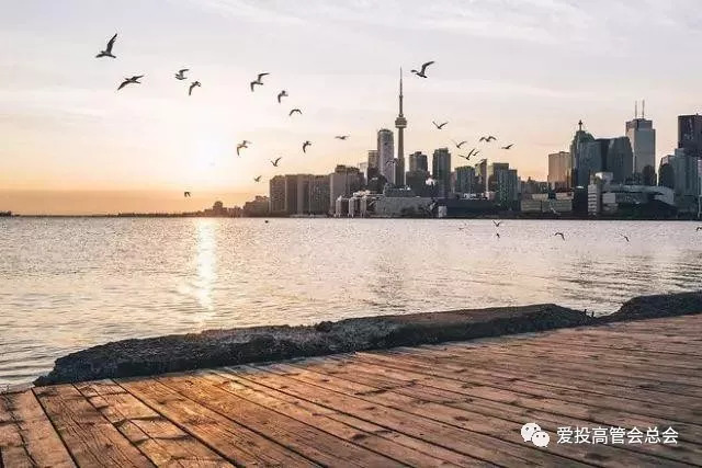 股票证券知识大全,股票基本术语100例