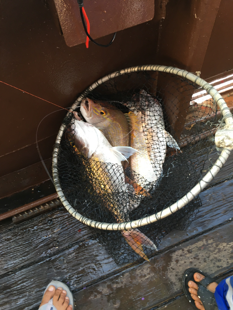 别让贫穷限制了你的想象豪宅,别让贫穷限制了你的想象力图片