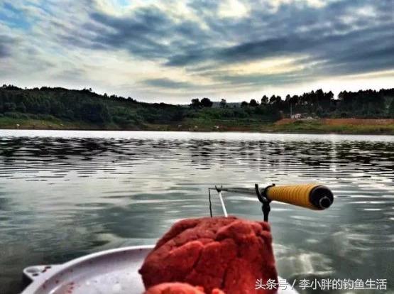 竿稍入水多少合适,竿稍入水还是不入水