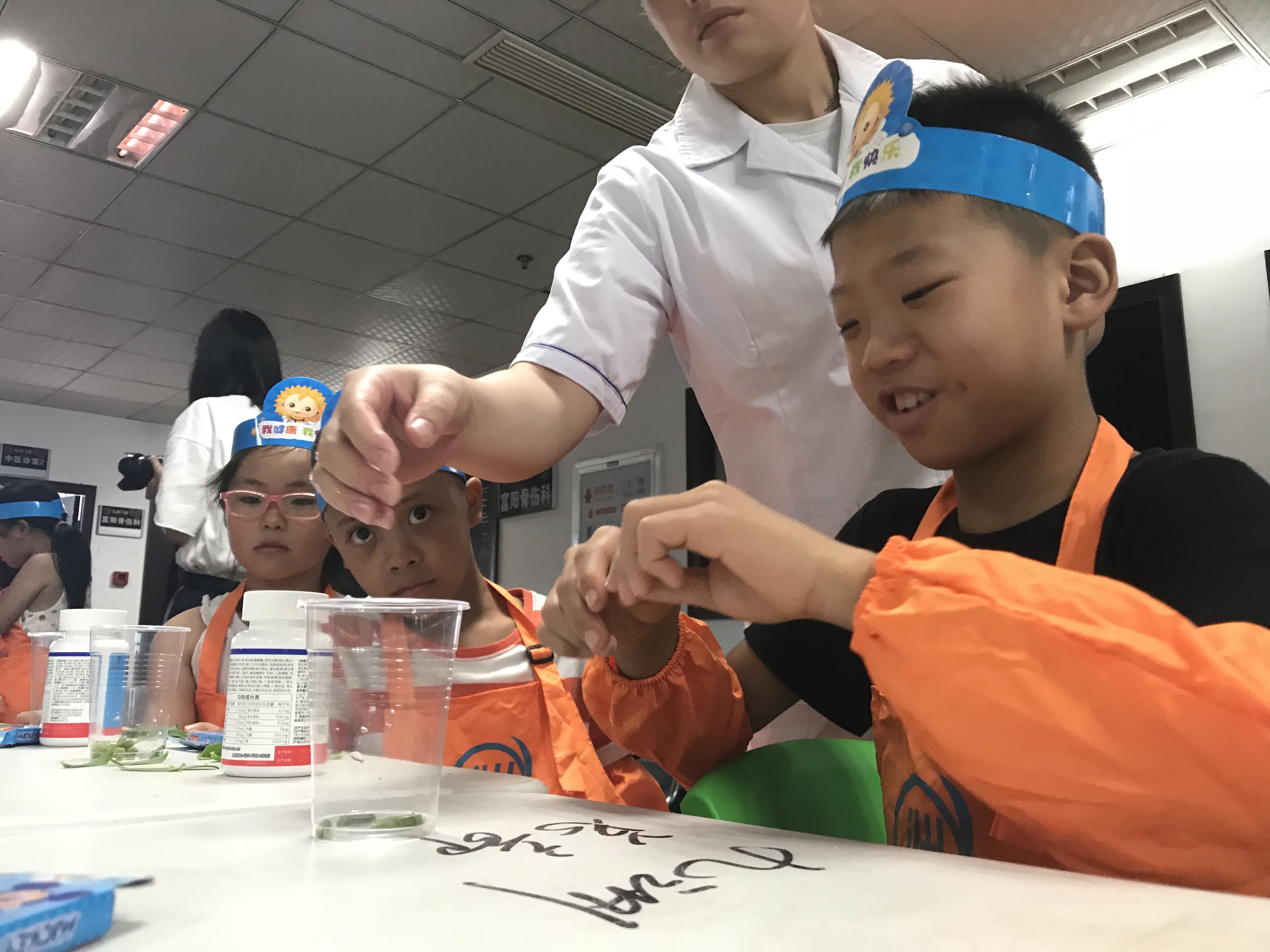 中华小药师夏令营第六课：认识神奇的仙草——石斛