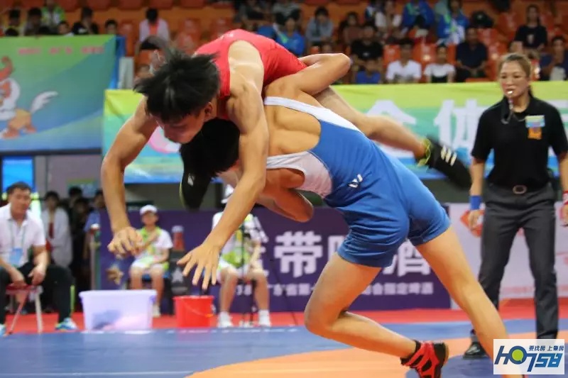 肇庆市第17届省运会,肇庆省运会各市奖牌榜