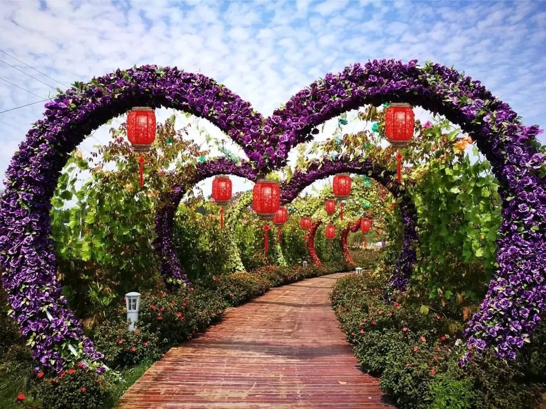 惊喜！8月24日黄姚花海景区免费入园了，这些“仙境”你舍得错过吗？