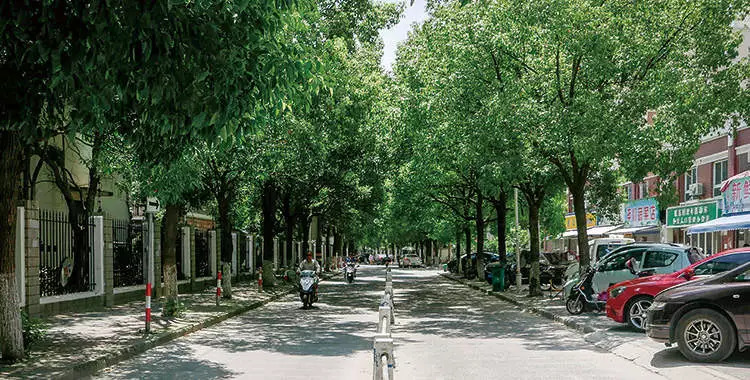 走狗屎运是真的要踩到狗屎吗,怎样才能有狗屎运