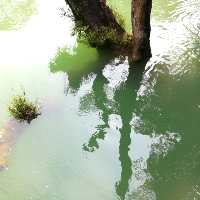 贵州自驾游旅游攻略自由行,贵州环省自驾旅游攻略