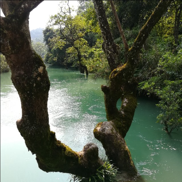 贵州自驾游旅游攻略自由行,贵州环省自驾旅游攻略