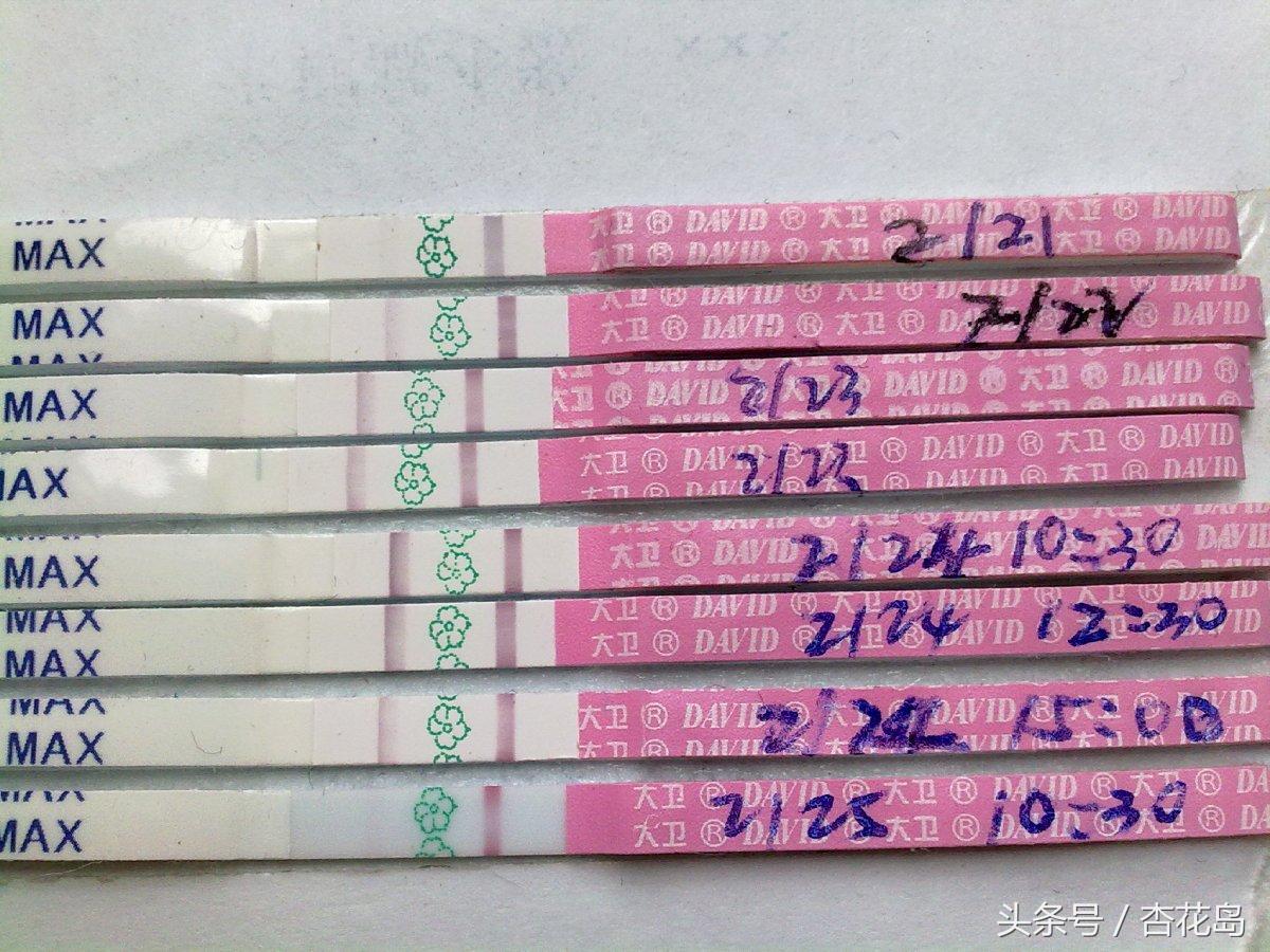 女性月经不规律怎么推算排卵期,月经提前两三天怎么推算排卵期