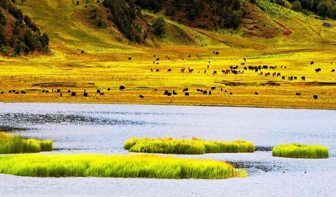 香格里拉自驾游攻略自助游,香格里拉到西藏攻略
