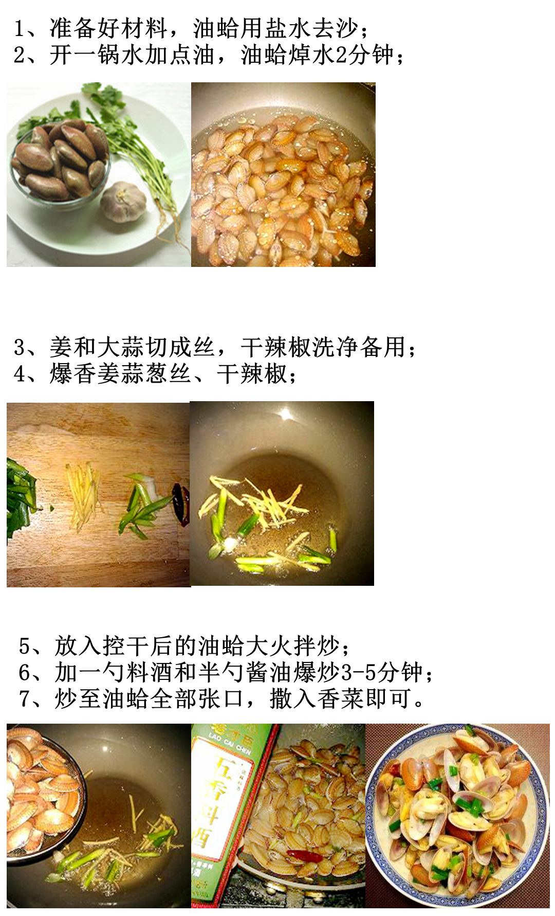 海边贝类种类,各种贝类的名称