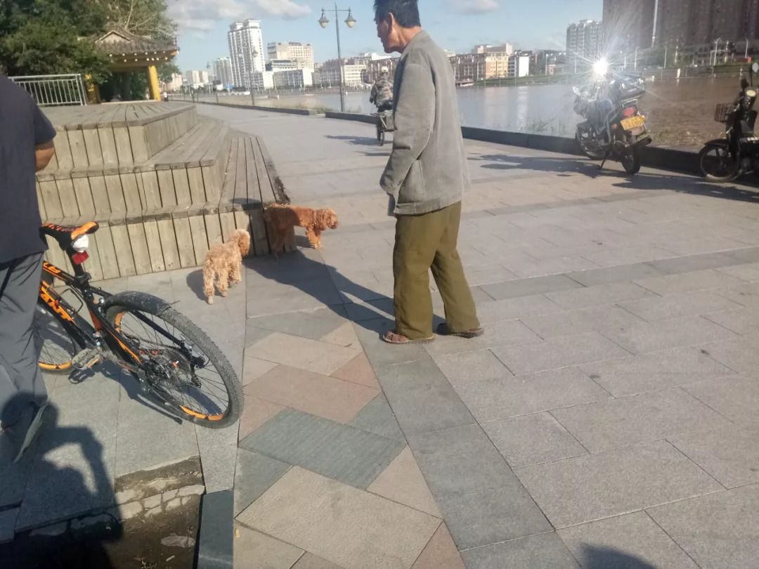 延边滨河公园,延吉滨河公园