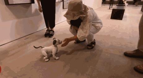 拆掉50年的高楼，索尼开了个网红店云集的大公园