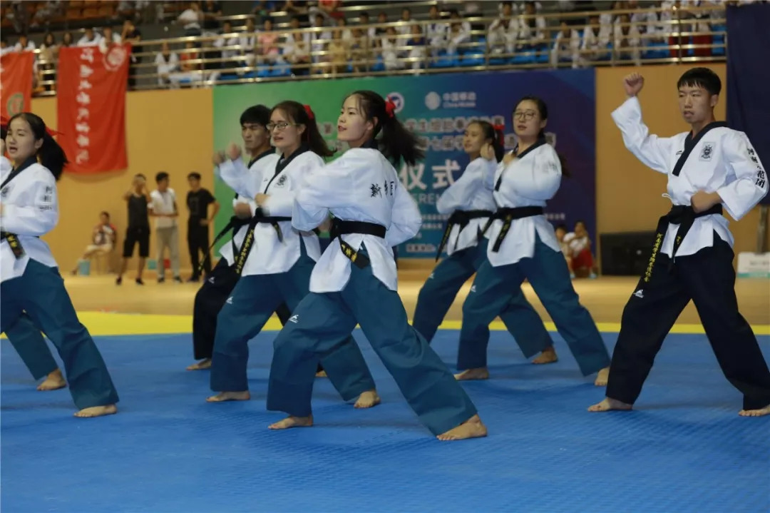 河南省十四届运动会跆拳道学生组,河南省大学生运动会跆拳道比赛