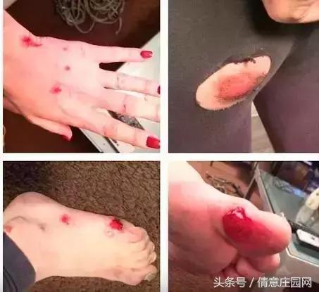 papi酱的大荧幕首秀到底有多失败,集美貌与才华于一身的papi酱