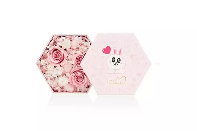 linefriends布朗熊,linefriends与什么牌子联名