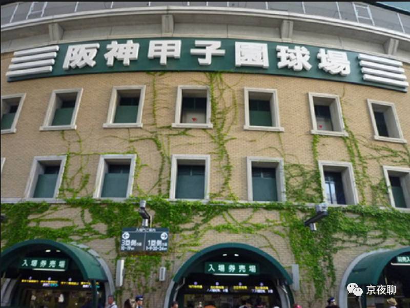 沸腾的青春,日本甲子园青少年棒球联赛