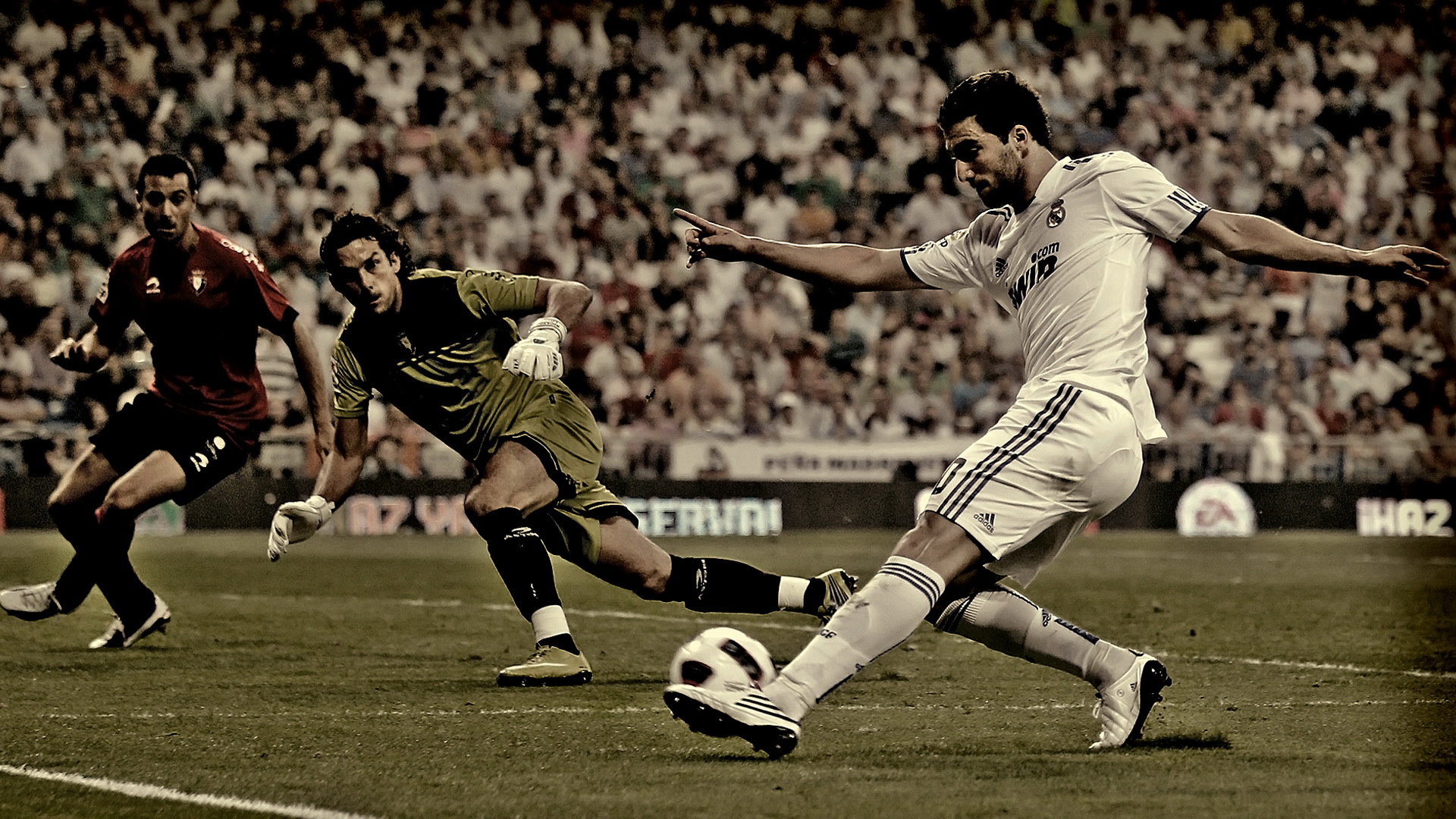 世界上只有两种运动一种是足球,世界上一共有多少种运动项目