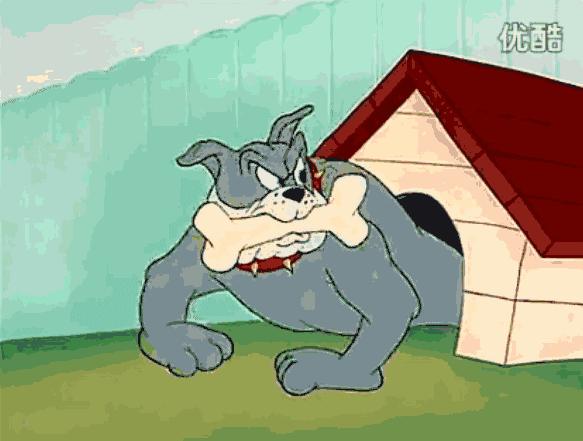 狗吃骨头有什么说法,狗吃鸡骨头得软骨病是真的吗