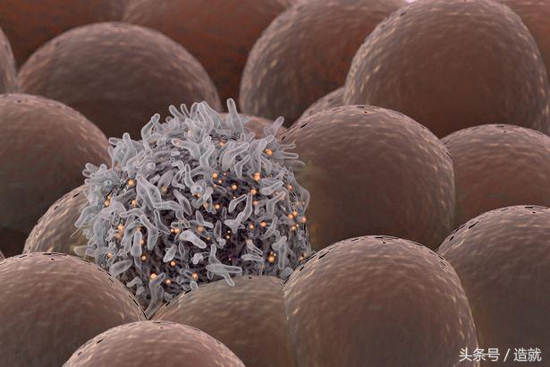 死亡一般分为几个阶段,死亡是一瞬间的事情