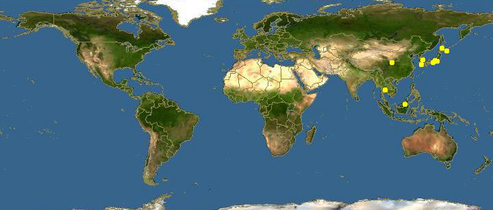 蛏子扇贝各种贝类如何区分,海鲜蛏的品种大全