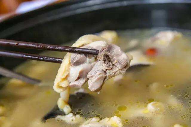 广东酒店蛇煲老母鸡做法,广东老鸡煲什么好吃