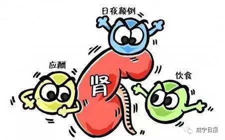 肾虚和肾病是两码事,肾虚咨询医生微信