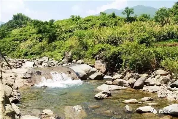 一亩养殖石斑鱼的利润是多少呢,养1万斤淡水石斑鱼盈利大概多少