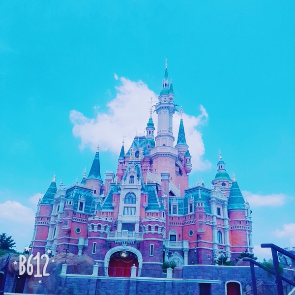 迪士尼旅游全攻略,六月上海迪士尼旅游攻略